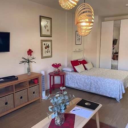 Apartamento Acogedor Y Centrico - Plaza Del Charco Puerto de la Cruz  Eksteriør billede